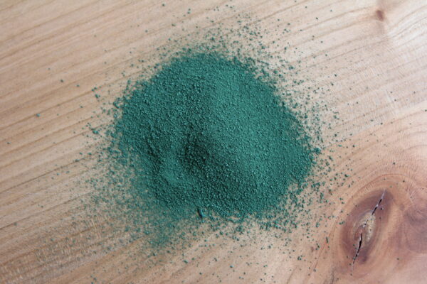 poudre spiruline