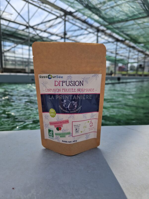 infusion bio spiruline