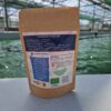 infusion spiruline
