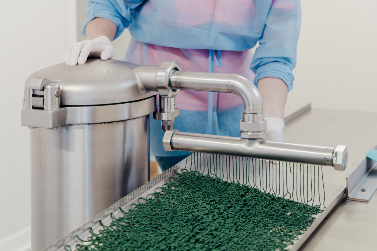 fabrication spiruline bio