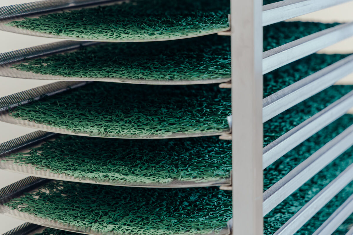 fabrication spiruline bio