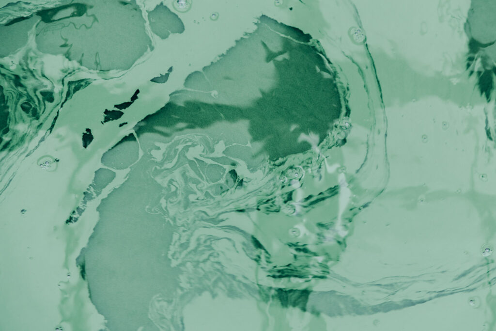 La Région Normandie soutient la recherche pour renforcer la qualité de la spiruline